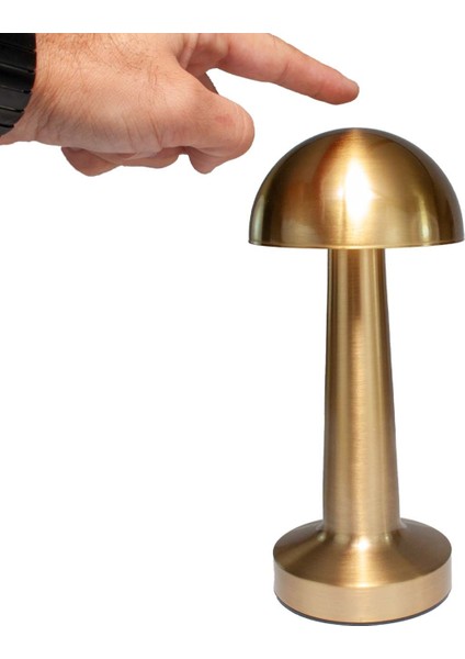 Şarjlı Dokunmatik Metal Masa Lambası | Mantar & Şemsiye Tasarım | Üç Kademe Işık Ayarı, Taşınabilir, USB ile Şarj Edilebilir Dekoratif Gece Lamba fiyatları