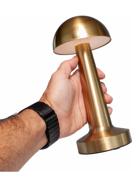 Şarjlı Dokunmatik Metal Masa Lambası | Mantar & Şemsiye Tasarım | Üç Kademe Işık Ayarı, Taşınabilir, USB ile Şarj Edilebilir Dekoratif Gece Lamba fırsatları