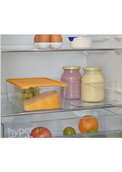 Düzenleme Kutusu, 2 Adet, Kulp fırsatları