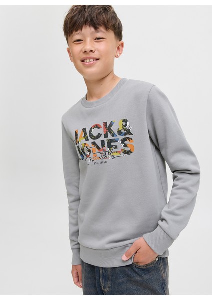 Baskılı Erkek Çocuk Gri Sweatshırt 12279606 fiyatları