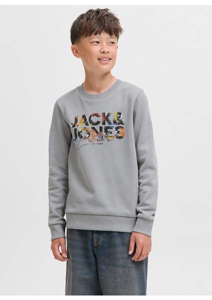 Baskılı Erkek Çocuk Gri Sweatshırt 12279606 modelleri
