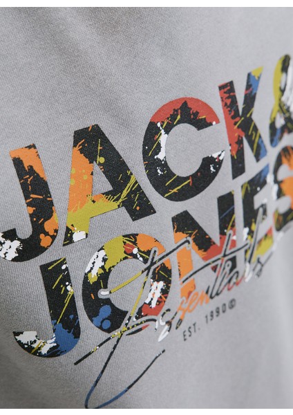 Baskılı Erkek Çocuk Gri Sweatshırt 12279606 fırsatları