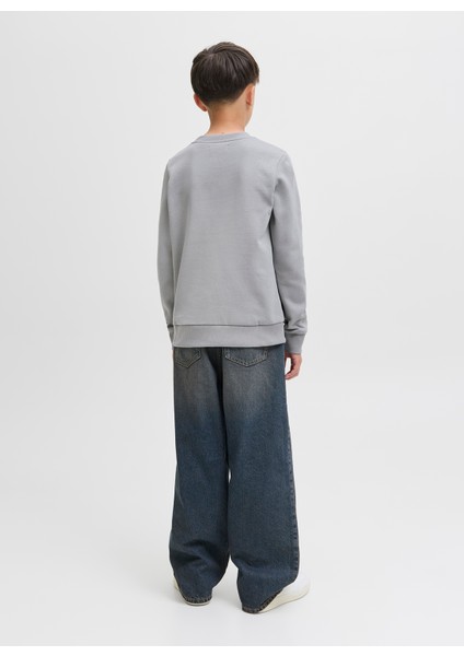 Baskılı Erkek Çocuk Gri Sweatshırt 12279606 indirimleri