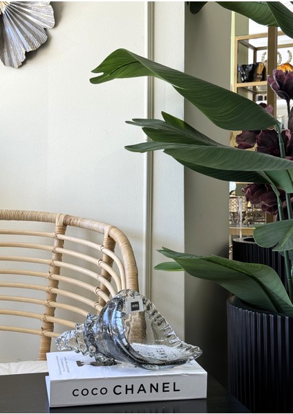 Cam Deniz Kabuğu 27CM