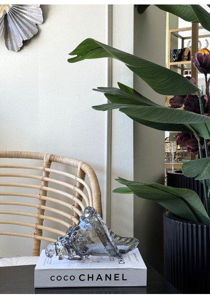 Cam Deniz Kabuğu 27CM fiyatları