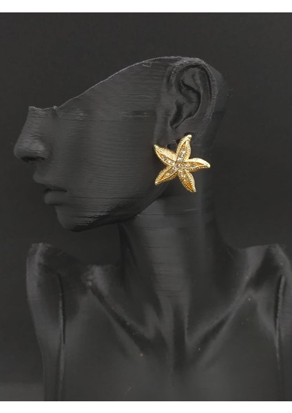 Yıldız Model Zirkon Taşlı Küpe