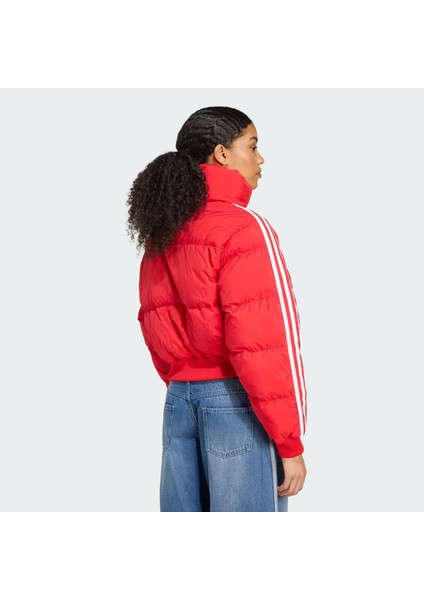 Adicolor Cropped Synthetic Down Kadın Mont fiyatları