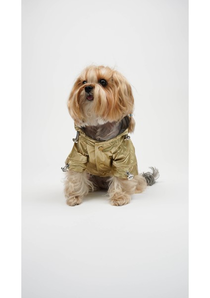 Kedi Köpek Yağmurluk Luxe Shelld