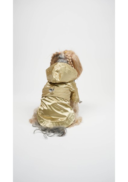 Kedi Köpek Yağmurluk Luxe Shelld modelleri