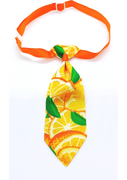Ayarlanabilir Kedi ve Köpek Kravatı, Portakal Desenli