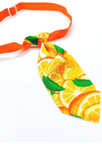 Ayarlanabilir Kedi ve Köpek Kravatı, Portakal Desenli fiyatları