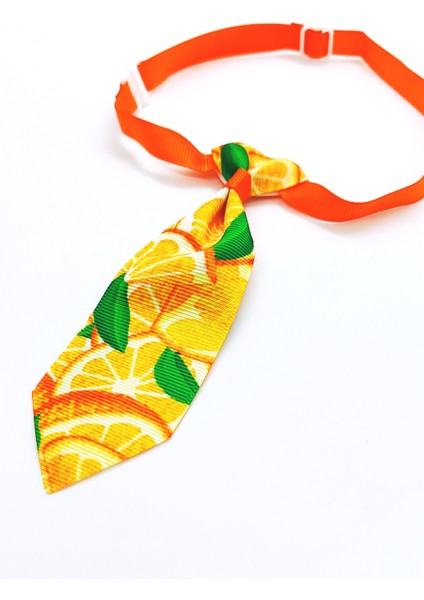 Ayarlanabilir Kedi ve Köpek Kravatı, Portakal Desenli modelleri