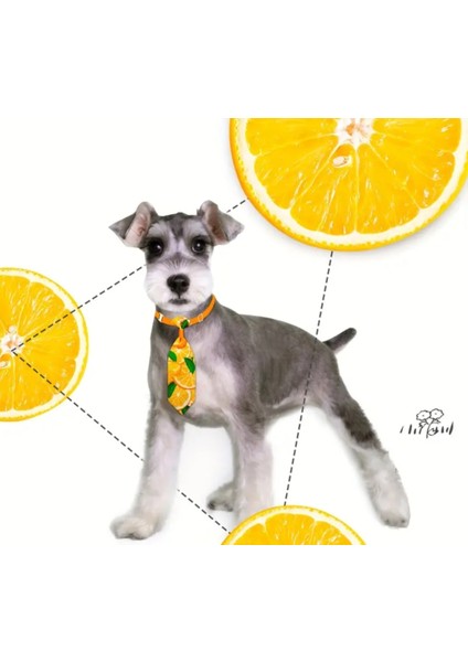 Ayarlanabilir Kedi ve Köpek Kravatı, Portakal Desenli fırsatları