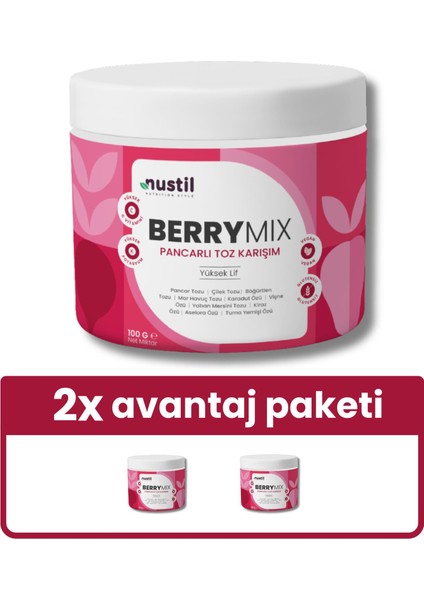 Berry Mix Orman Meyveli Toz Karışım 100G X2