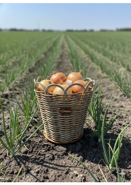 Raddancore Orta Boy Soğanlık/soğan Sepeti fırsatları