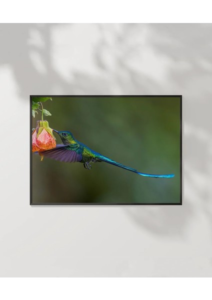 Çiçekle Dans Eden Kuş Poster
