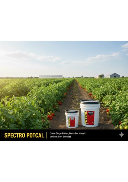 Spectro Potcal N:(NO₃-N) + K₂O:13 + CaO:13 – Jel Form Kalsiyum ve Potasyumlu Sıvı Gübre 5 kg – Yüksek Teknoloji Üretim fiyatları