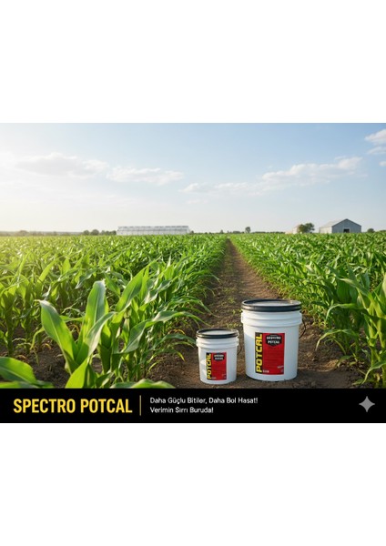 Spectro Potcal N:(NO₃-N) + K₂O:13 + CaO:13 – Jel Form Kalsiyum ve Potasyumlu Sıvı Gübre 5 kg – Yüksek Teknoloji Üretim modelleri