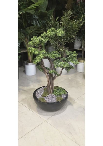 Siyah Yarım Küre Karbonfiber Saksıda Bonsai fiyatları