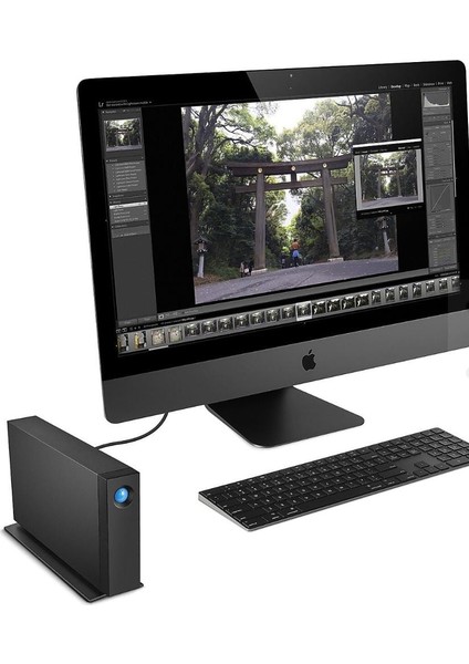 D2 Professional 4tb, Harici Sabit Disk, Usb-C, Pc Mac & Ipad, 1 Ay Adobe All Apps, Data Rescue Service (STHA4000800)