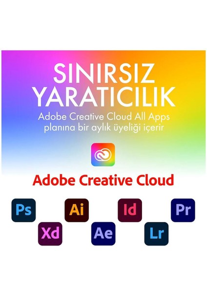 D2 Professional 4tb, Harici Sabit Disk, Usb-C, Pc Mac & Ipad, 1 Ay Adobe All Apps, Data Rescue Service (STHA4000800) indirimleri