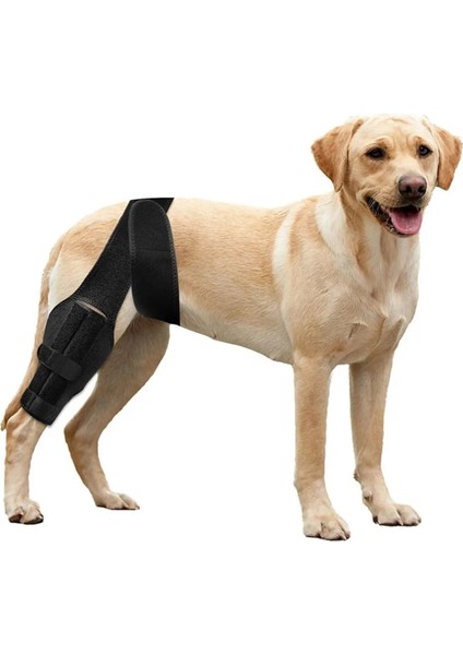 1 Adet Köpek Diz Yaralanması Koruma Kollu Ön ve Arka Bacak Rehabilitasyon Yalamak Kurtarma Bandajı