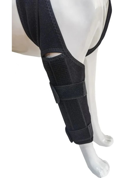 1 Adet Köpek Diz Yaralanması Koruma Kollu Ön ve Arka Bacak Rehabilitasyon Yalamak Kurtarma Bandajı modelleri