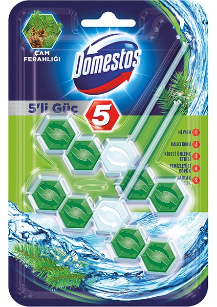 3 Adet Domestos Wc Temizleyici Blok 2x5'li Güç Çam Ferahlığı fiyatları