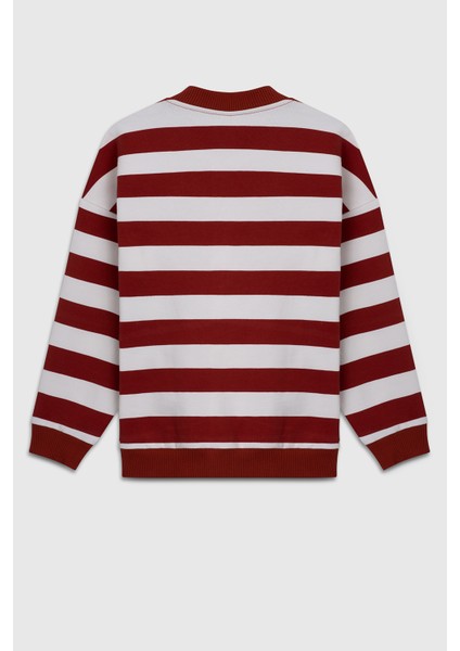 Pamuklu Regular Fit Bisiklet Yaka Çizgili Sweat Erkek Çocuk Sweat BNTB23297 fiyatları