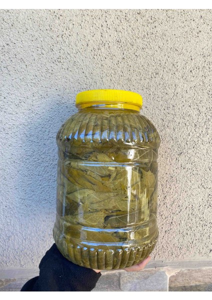 Manisa Asma Yaprağı 3 kg