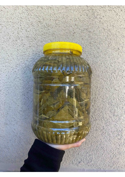 Manisa Asma Yaprağı 3 kg modelleri