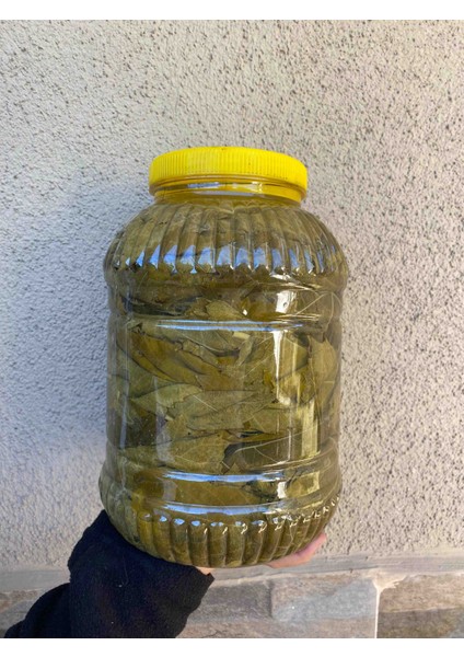 Manisa Asma Yaprağı 3 kg fırsatları