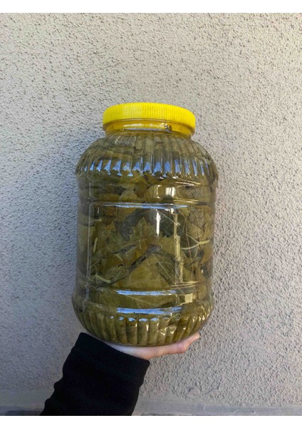 Manisa Asma Yaprağı 3 kg indirimleri