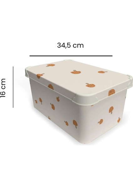 Mantar Desenli Saklama Kutusu - Renkli - 10 Lt fiyatları