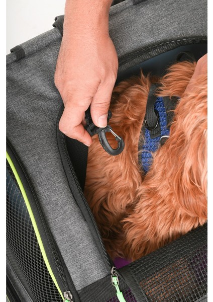 Kedi ve Köpekler Için Piramit Xl Taşıma Çantası - Geniş Alan Havalandırmalı Seyahat Çantası fırsatları