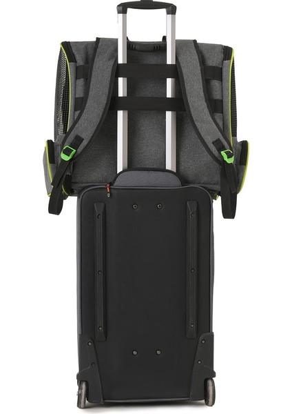 Kedi ve Köpekler Için Piramit Xl Taşıma Çantası - Geniş Alan Havalandırmalı Seyahat Çantası indirimleri