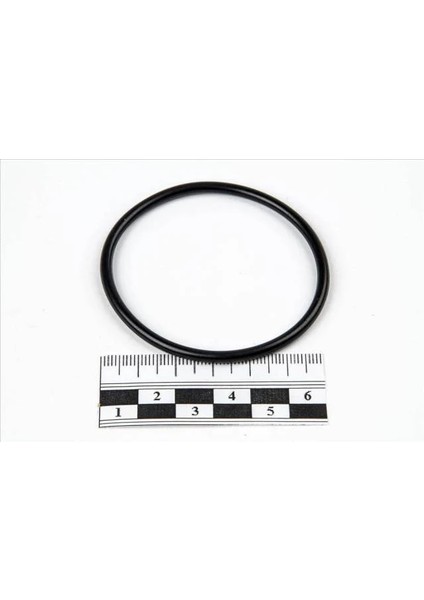 ENJEKSIYON KELEBEK BOGAZ CONTASI CLIO II-II CLIO III MODUS 1.4-1.6 16V K4M-K4J MAIS 8200068566