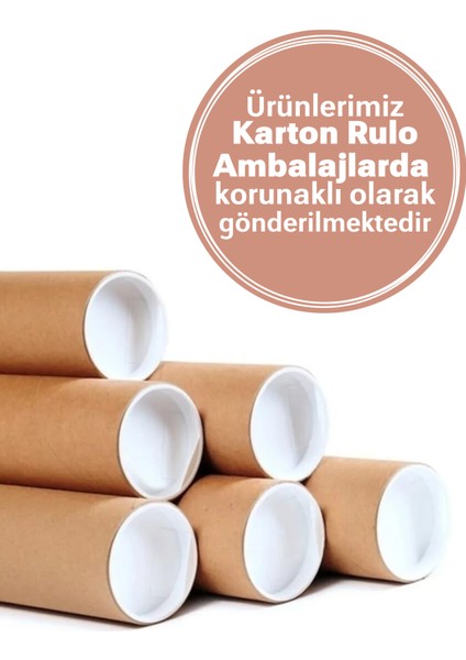 Deniz Kızı Temalı Boy Ölçerli Duvar Sticker Seti | Çocuk Odası Dekoru | Mat Yüzey, Kolay Uygulama, Sökülebilir