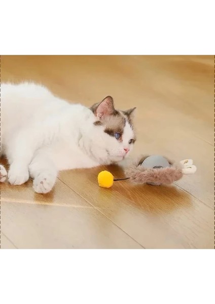 Tüylü Şarjlı Kedi Oyuncağı fırsatları