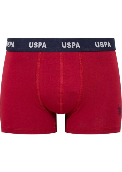 U.s. Polo Lisanslı 3lü Boxer 80509 modelleri