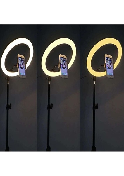 10 Inç(26 Cm) Kumandalı Youtuber, Selfie LED Işık ve 210 cm Tripod Kuaför, Makyaj Işığı Tiktok Işığı fırsatları
