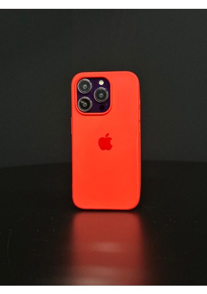 iPhone 11 Uyumlu Renkli Logo Içi Kadife Lüks Lansman Kılıf