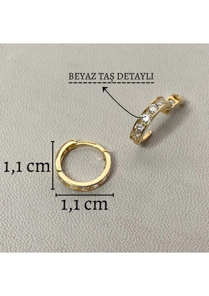 14 Ayar Altın Mini Boy Tam Tur Beyaz Taşlı Küpe fiyatları