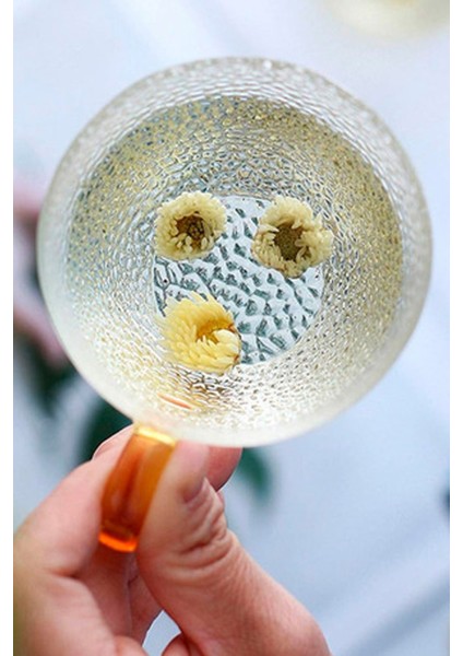 Aurina 6’lı Kulplu Cam Çay Kahve Espresso Bardak Fincan Seti 110 ml modelleri