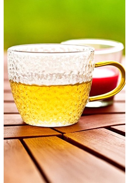 Aurina 6’lı Kulplu Cam Çay Kahve Espresso Bardak Fincan Seti 110 ml fırsatları