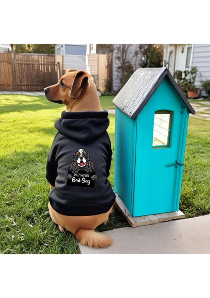 King Baskili Ici Polarli Köpek Kıyafeti Sweatshirt