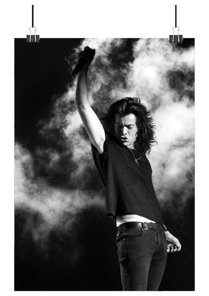 Harry Styles Poster3 - Retro Duvar Dekoru