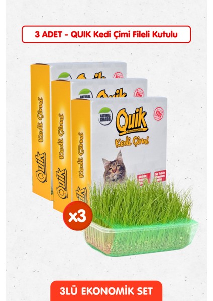 3 Adet Doğal Kedi Çimi Fileli ve Kutulu Tüy Yumağı Önleyici