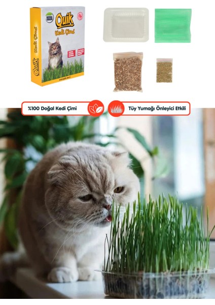 3 Adet Doğal Kedi Çimi Fileli ve Kutulu Tüy Yumağı Önleyici fiyatları