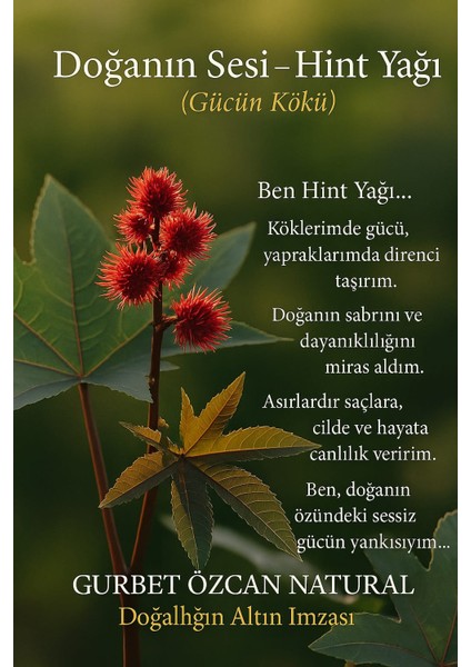 Hint Yağı %100 Saf Doğal Seyreltilmemiş 50 ml (Castor Oil) fırsatları